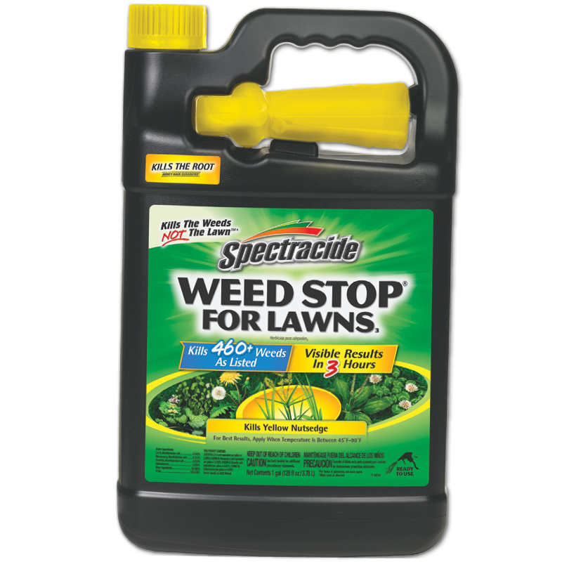 1 Gal. Spectracide Weed Stop