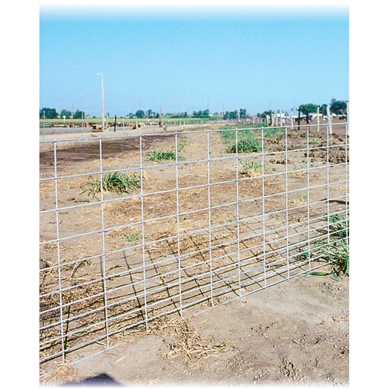 Hog Panel - 34" x 16' 4/5 Gauge 34 Lbs