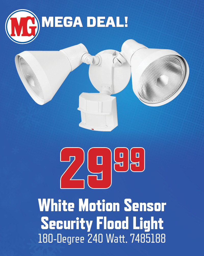 White Motion Sensor Flood Light