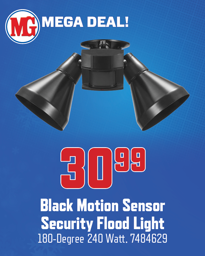 Black Motion Sensor Flood Light