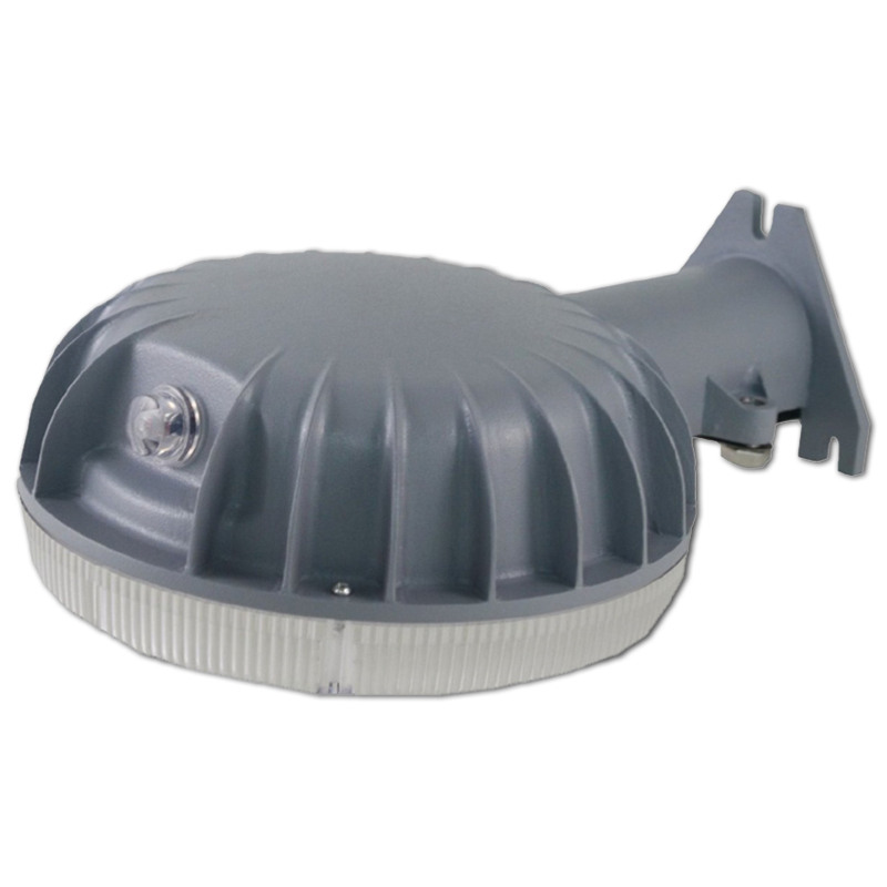 LED Security Light