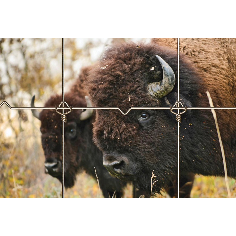 48" 949-6-12-1/2 Fixed Knot Fence