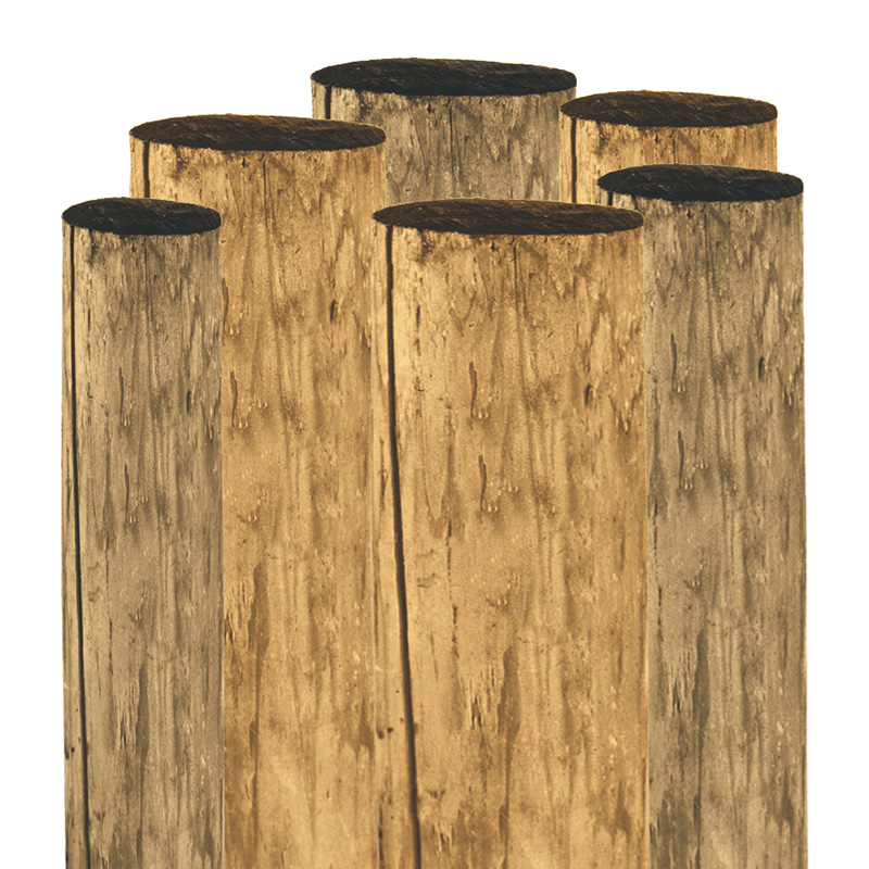 6" x 8' Treated Wood Post